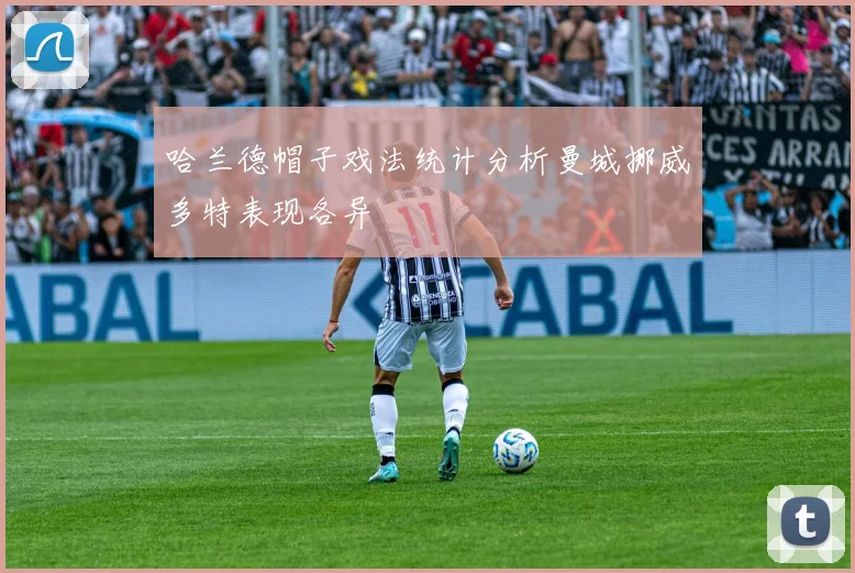 哈兰德帽子戏法统计分析曼城挪威多特表现各异