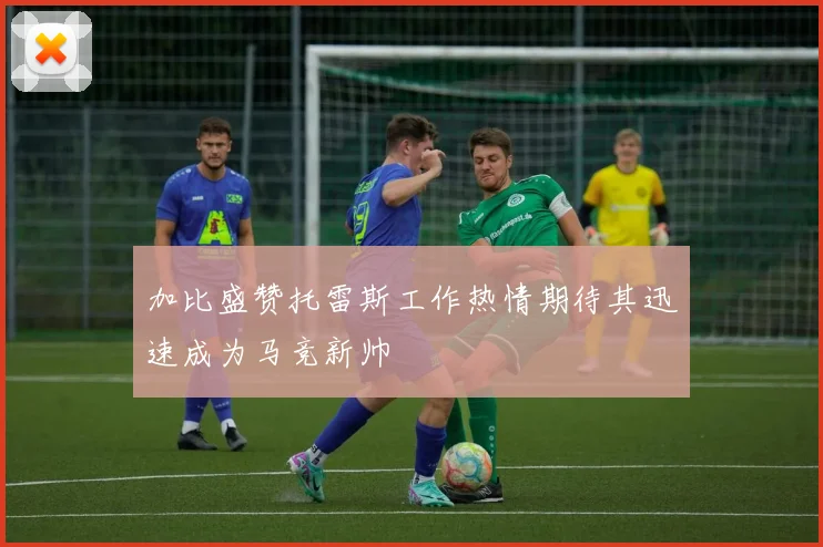 加比盛赞托雷斯工作热情期待其迅速成为马竞新帅