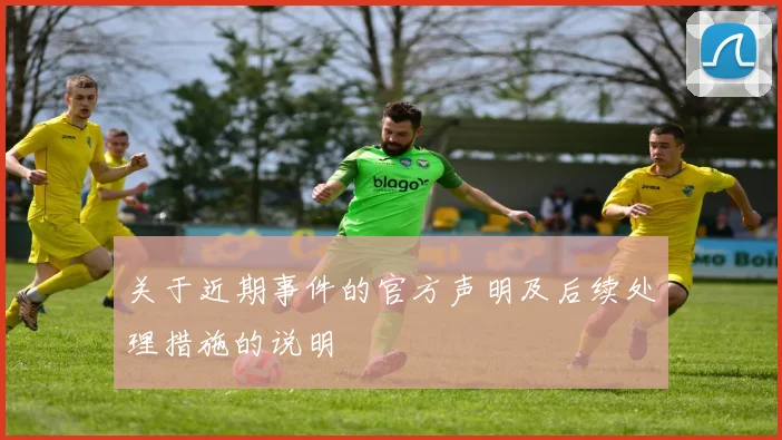 关于近期事件的官方声明及后续处理措施的说明